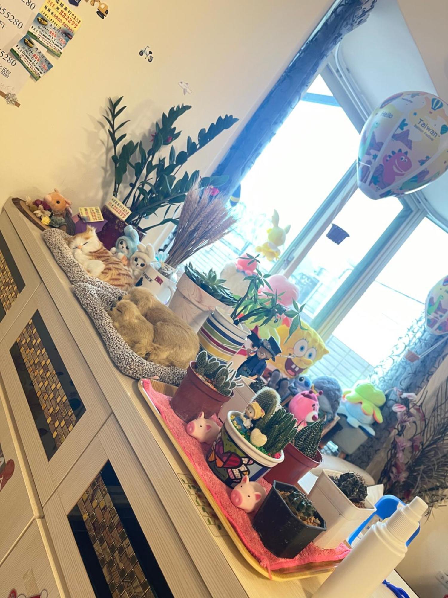 Holiday Homestay Chishang Exteriör bild